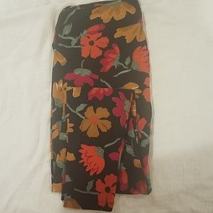 Lularoe TC leggings EUC